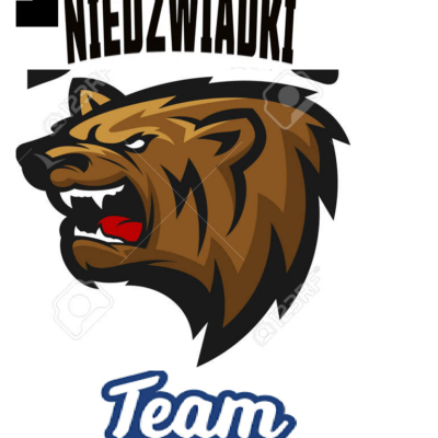 Niedźwiadki team